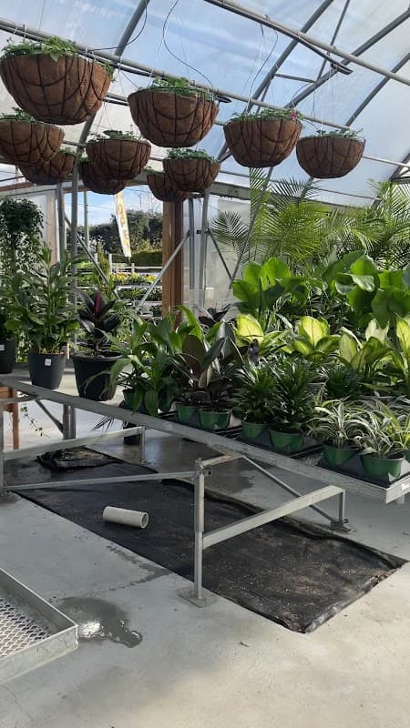 The Plant Place photo 3