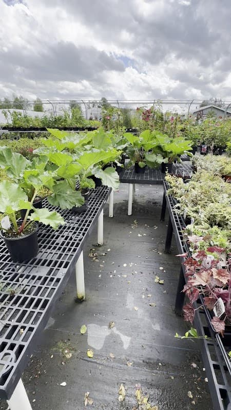 The Plant Place photo 5