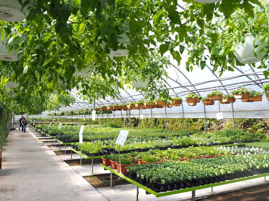 The Plant Place photo 6