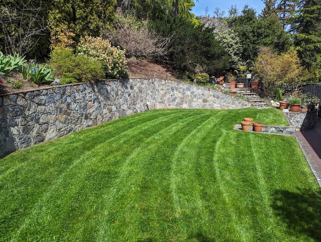 TOMEI Landscaping Ltd project photo