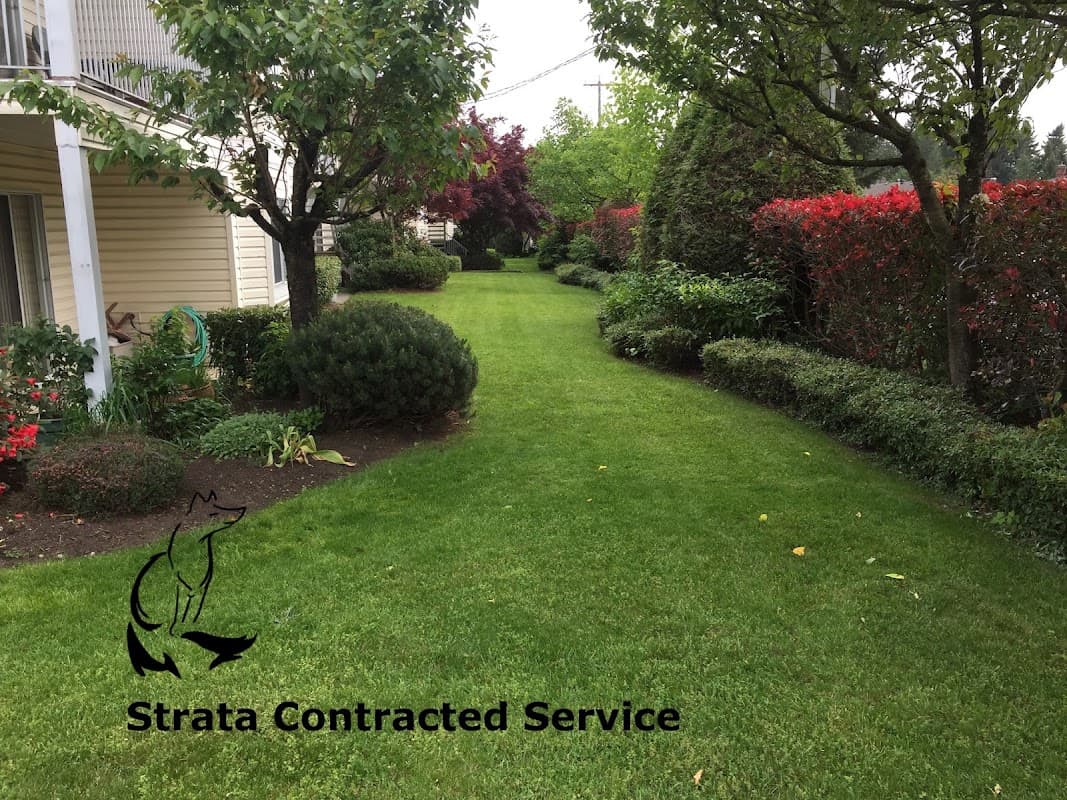 Top Fox Landscaping