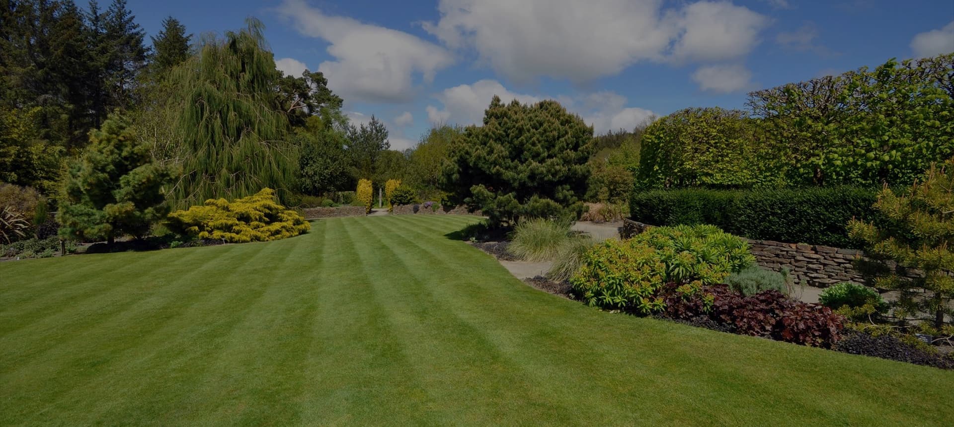Top Fox Landscaping photo 6