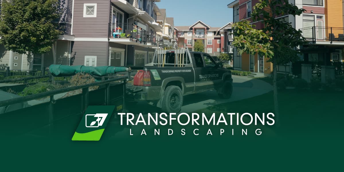 Transformations Landscaping photo 5