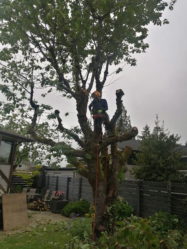 TREESENSE CARE photo 2