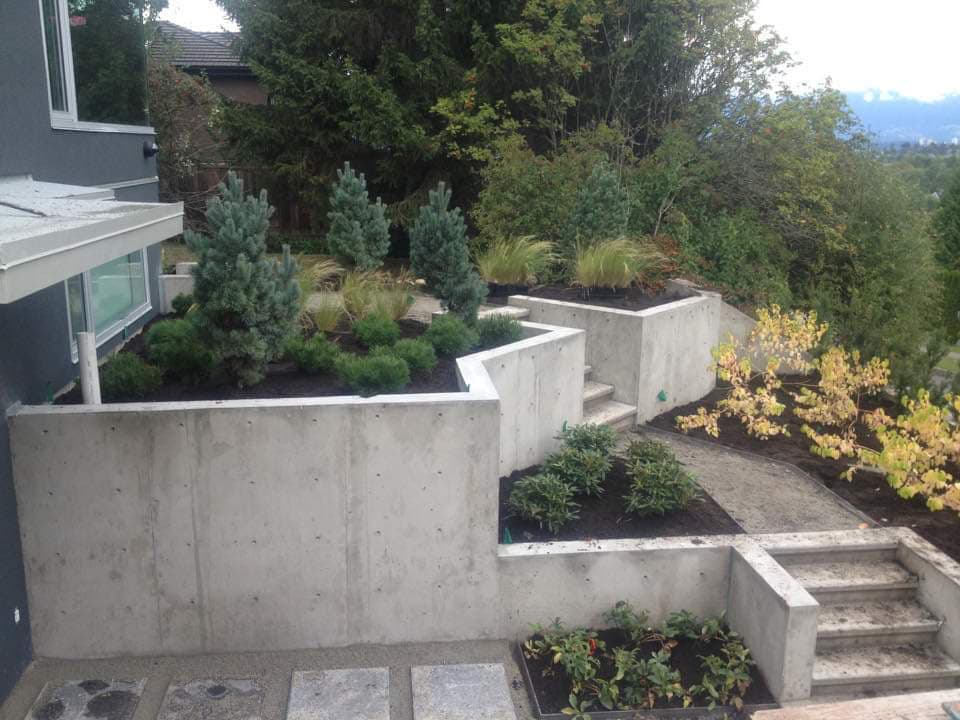 Treewisemen Landscaping Ltd. photo 2