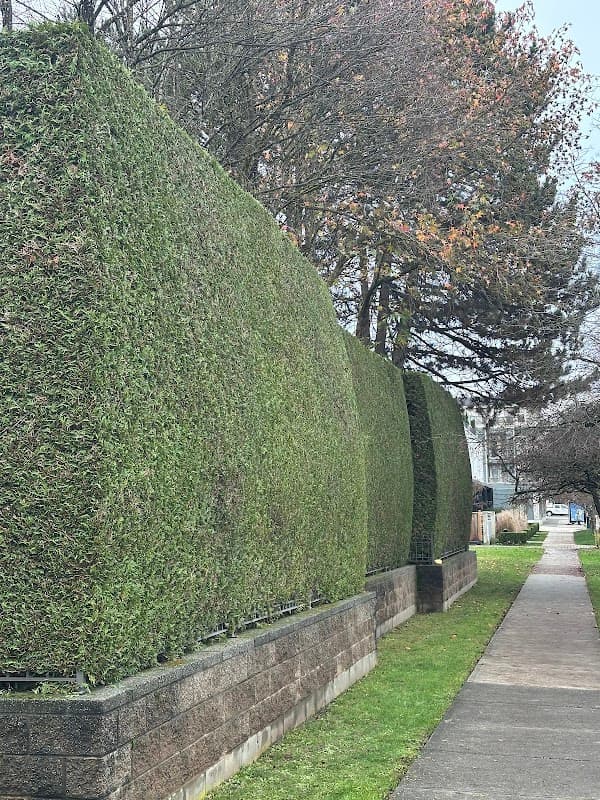 True North Lawn Care project photo