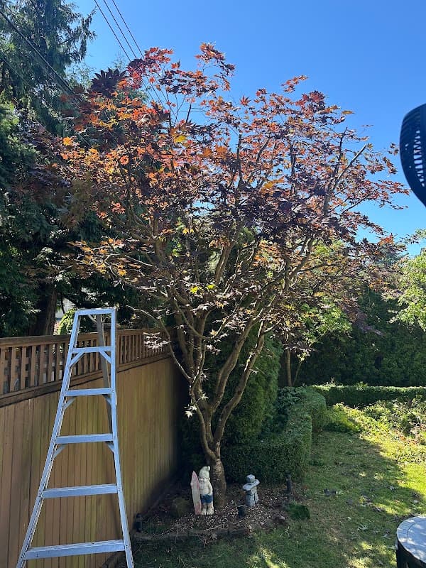 True North Lawn Care photo 2