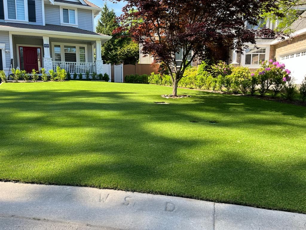 True North Synthetic Grass photo 3