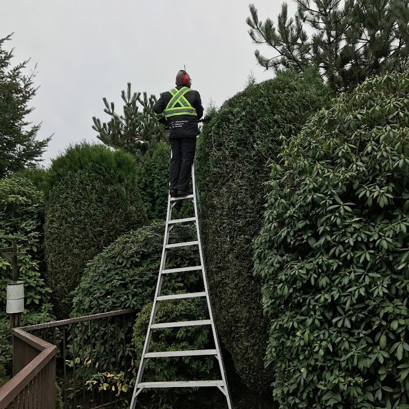 Turf Guys Landscaping Limited photo 3