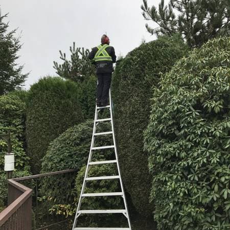 Turf Guys Landscaping Ltd photo 3