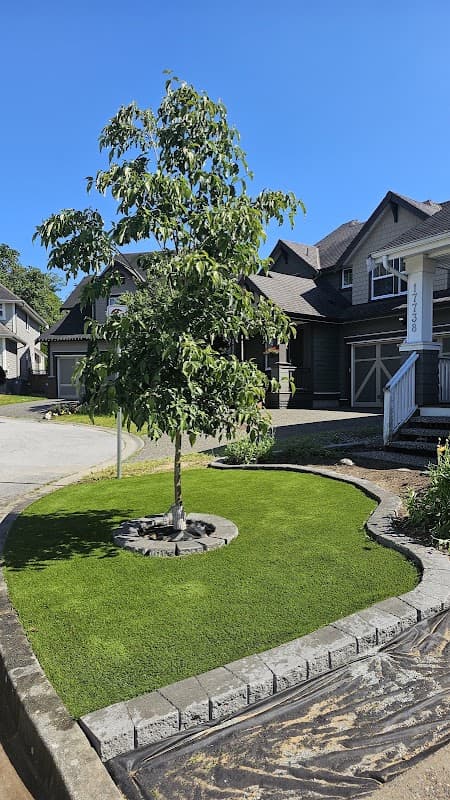 Turf King Maple ridge photo 2