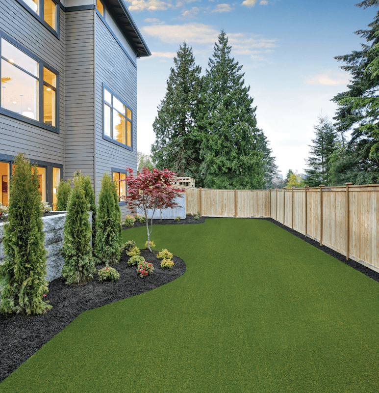 Turf King Maple ridge photo 3