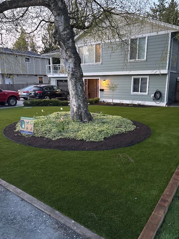 Turf Team Landscaping & Artificial Turf Solutions photo 2