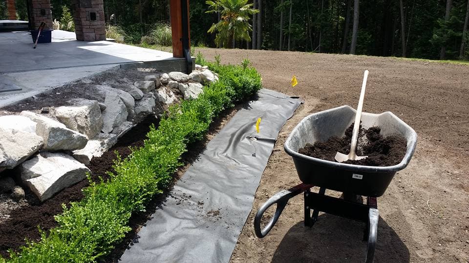 Turfcity Lawn & Garden photo 2