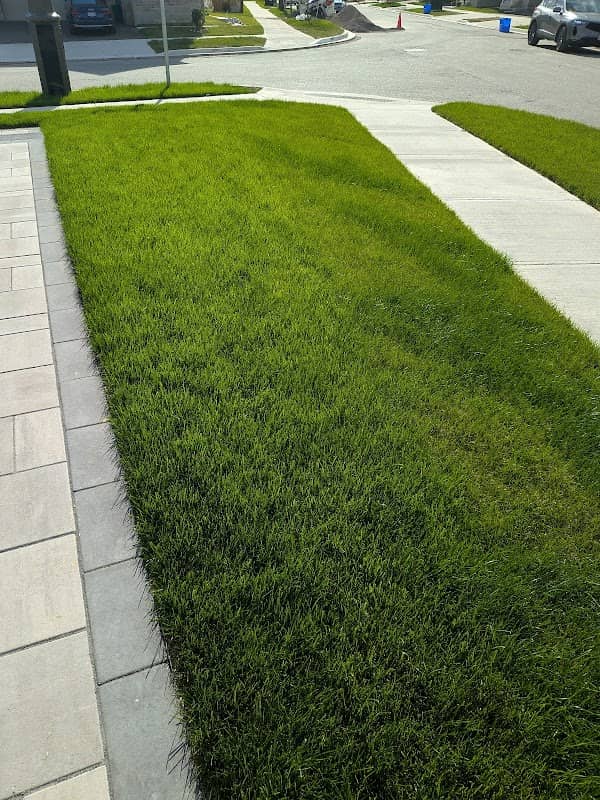 TVN Property Maintenance INC.