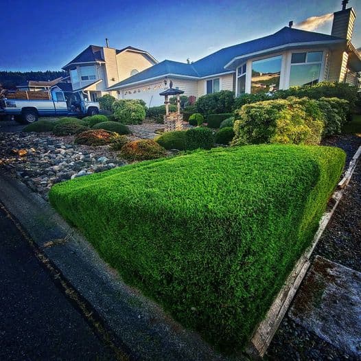 Upscaled Yard & Gardens