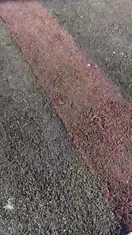 Urban Rubber Paving Vancouver photo 3