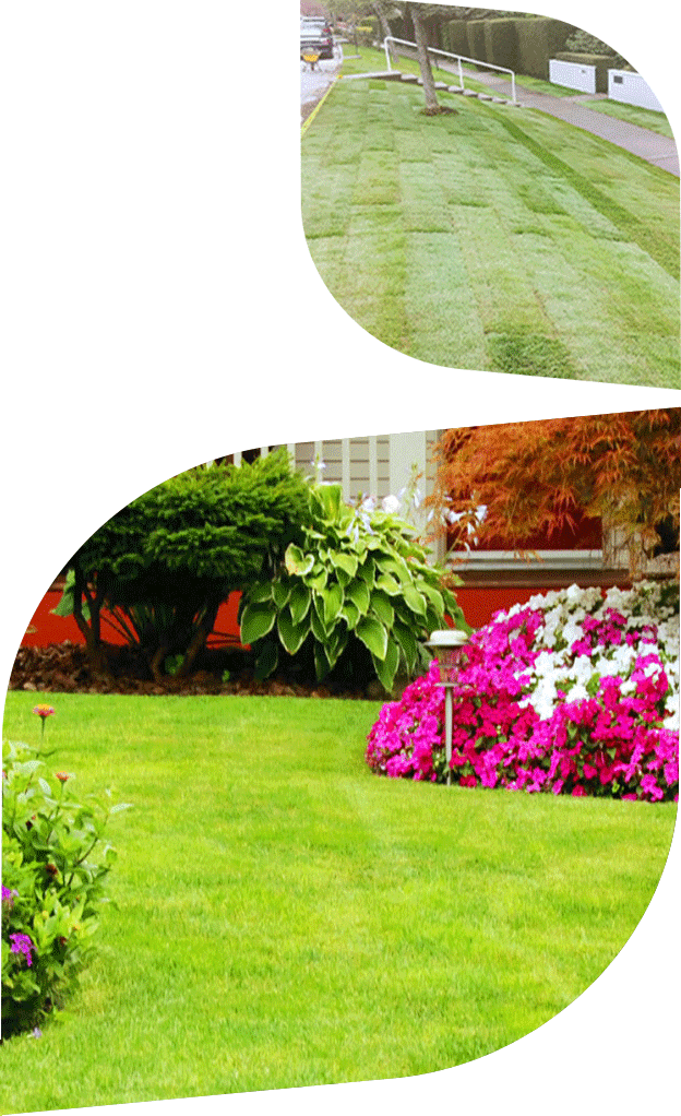 Vancouver Landscaping Inc photo 3