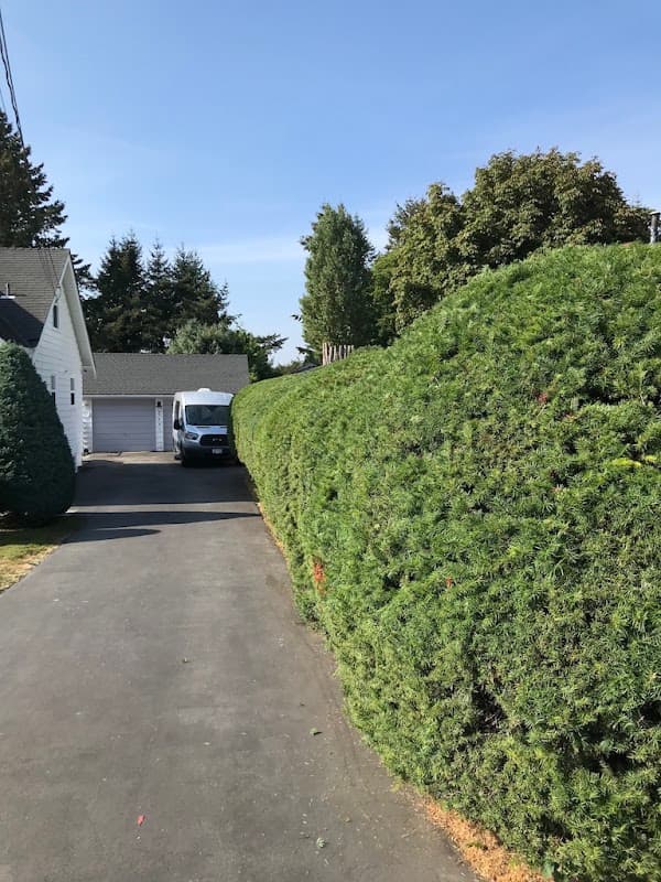 Vans Mowing & Landscape