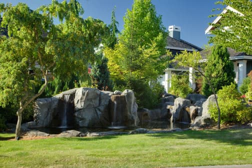 Vista Landscape Services Ltd.