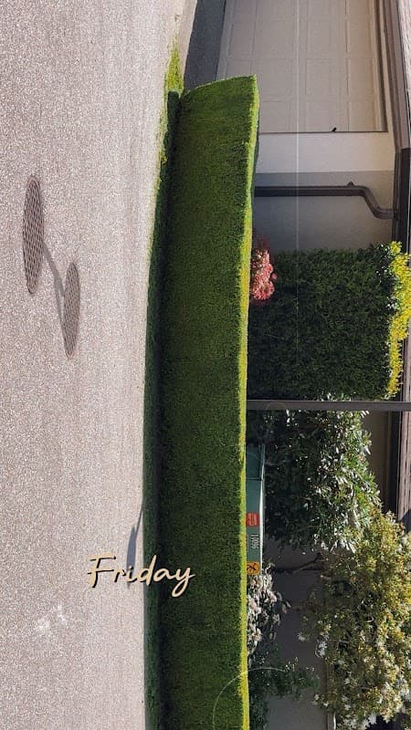 Vista Landscape Services Ltd. photo 2