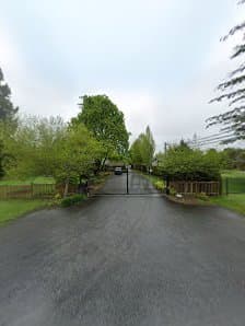 Vista Landscape Services Ltd. photo 3
