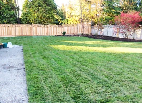 Vista landscaping photo 4