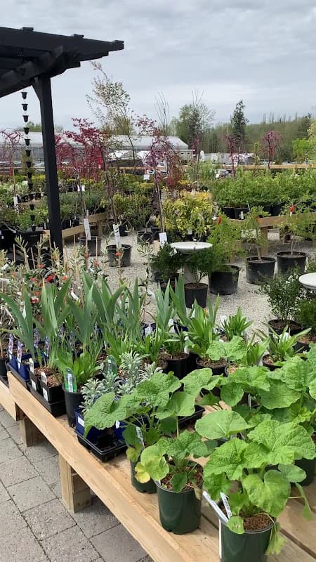 West Coast Gardens photo 3