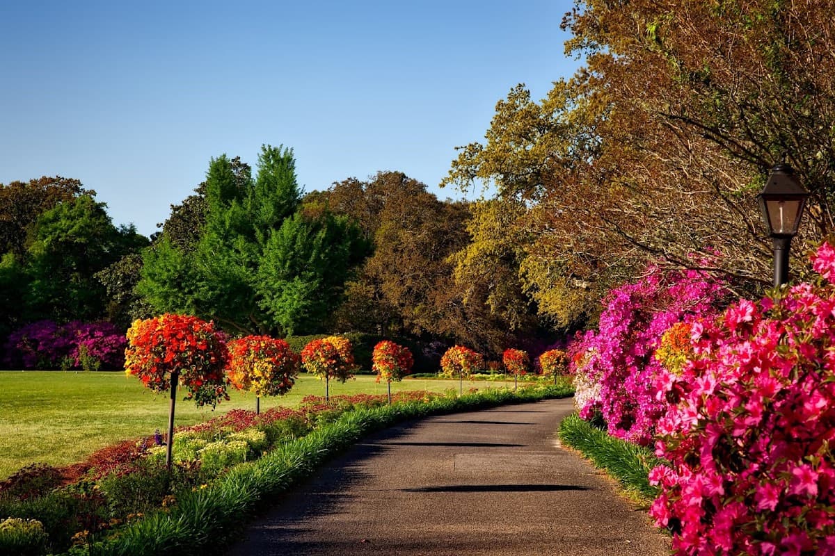 West Coast Lawns & Gardens photo 2