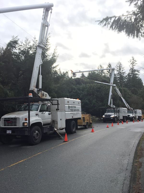 Western Tree Services project photo