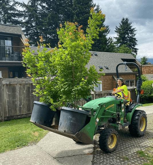 Western Tree Services photo 3