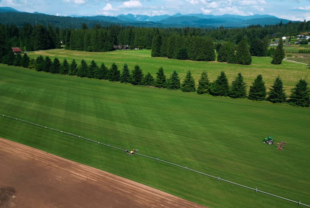 Western Turf Farms Ltd photo 3