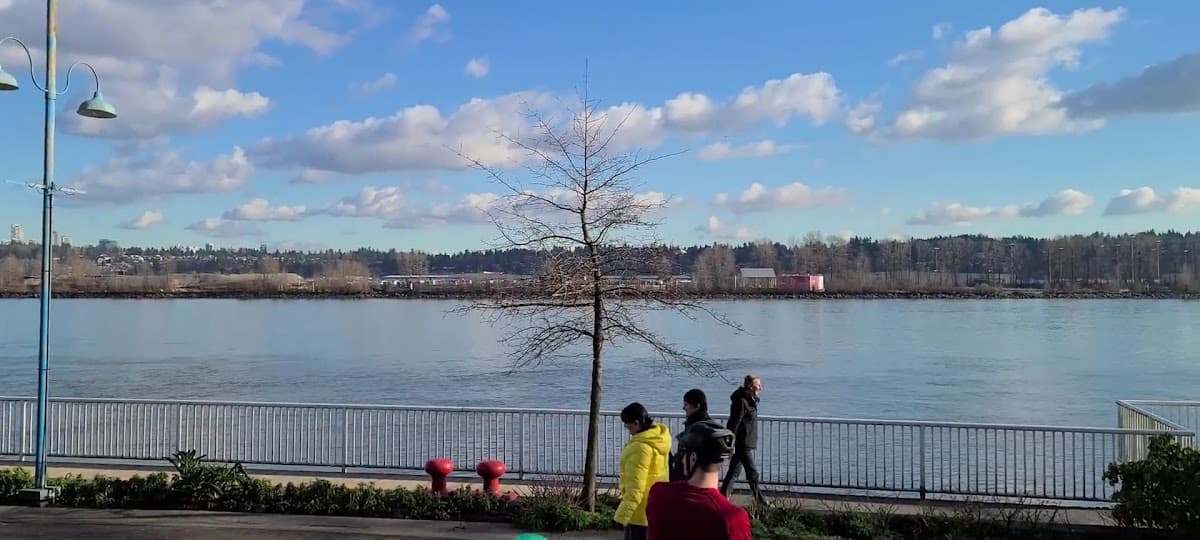 Westminster Pier Park photo 3
