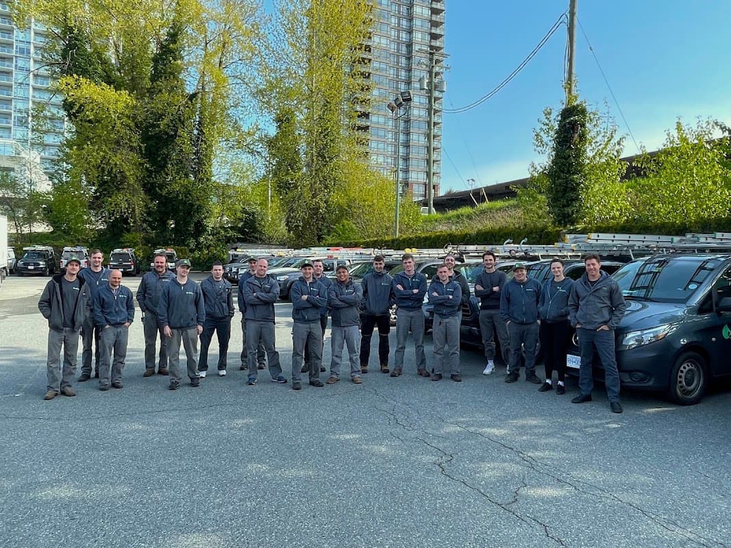 Westside Pest Control Coquitlam project photo