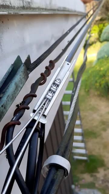 Westside Pest Control Coquitlam photo 3