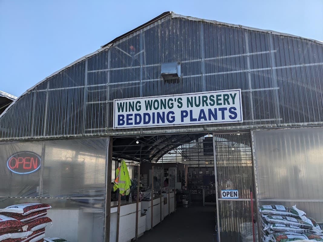 Wing Wong's Nursery