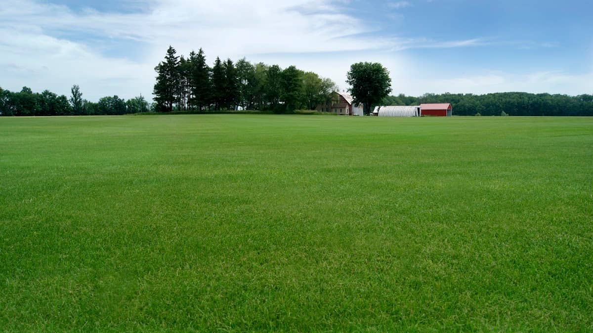Wintermere Sod Growers photo 2
