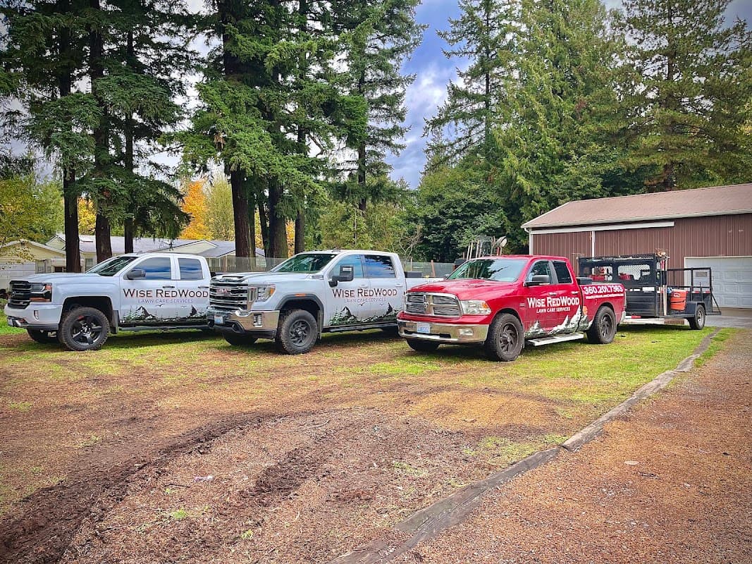 Wise RedWood Lawn Care Services