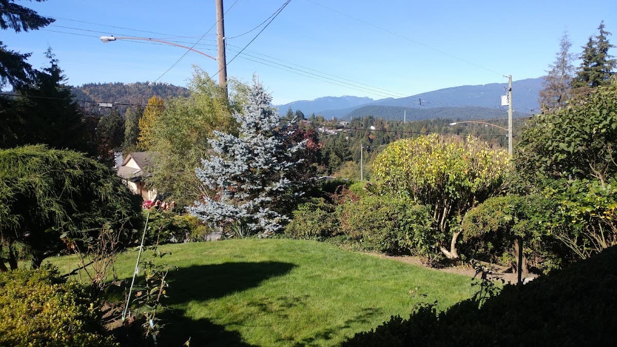 WJT Yard Services photo 2