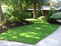 yardmasters landscape services photo 4