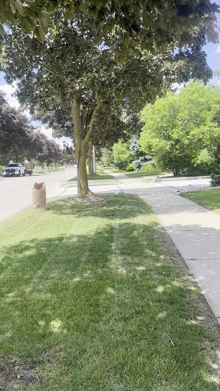 A&E lawn care photo 3