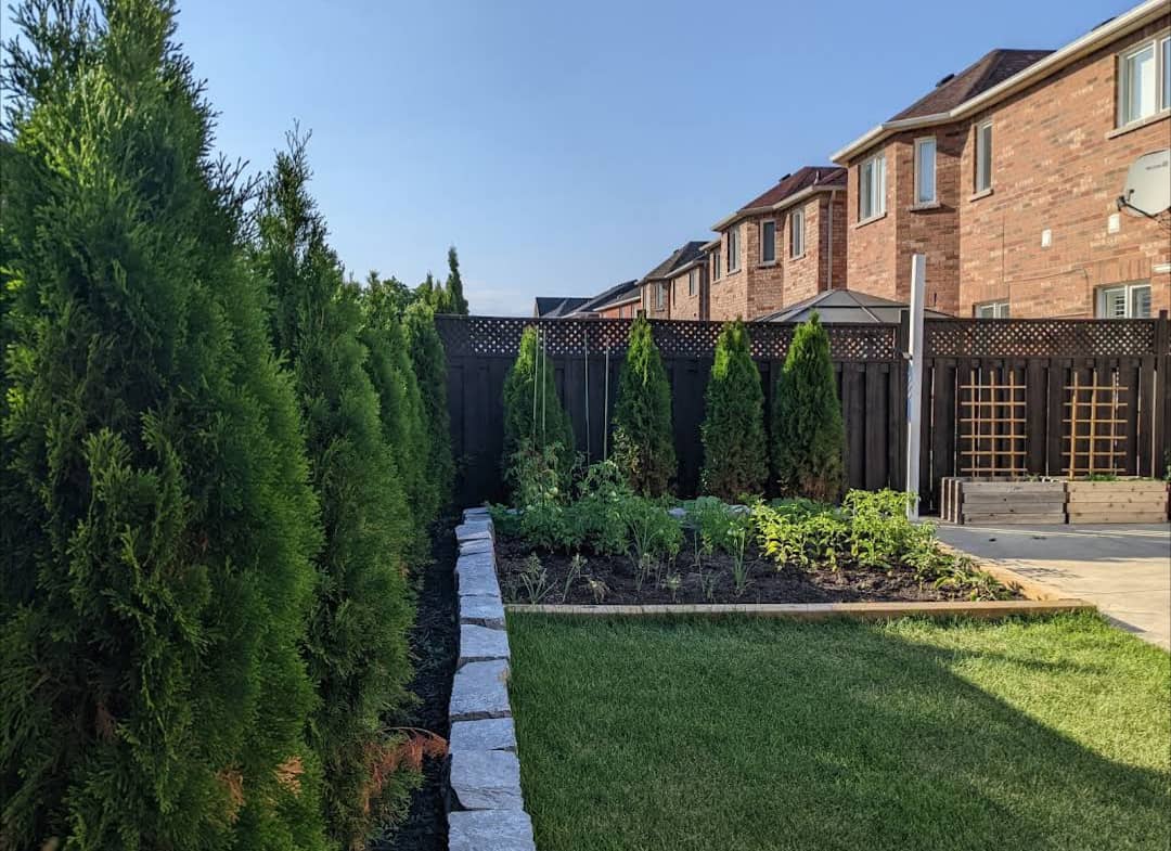 AAA Landscaping Co Ltd project photo