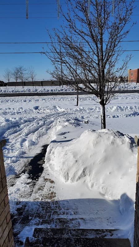 Ajax Snow Removal project photo
