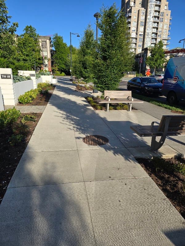 All Bloom Landscaping and Gardening Inc.
