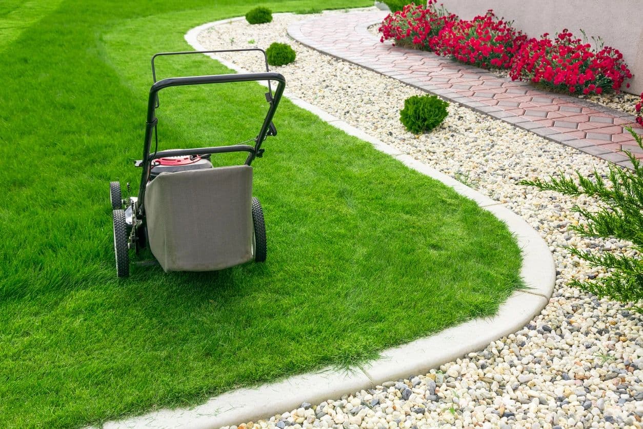 All-You-Need Lawn & Garden Care - Vancouver Lawn and Garden Care Services photo 3