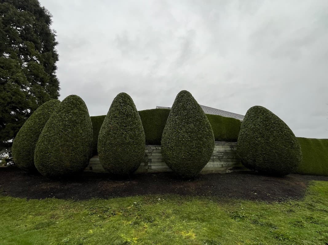 Allen Cut and Care Landscaping photo 2