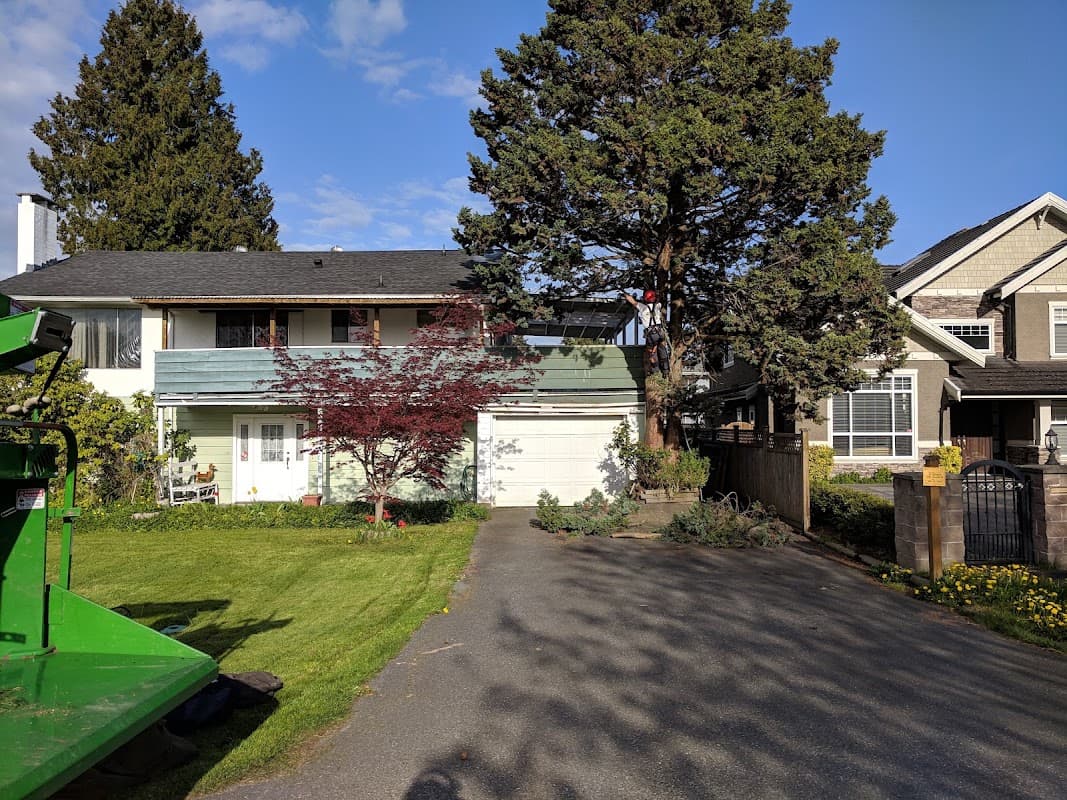 Alpine Tree Care photo 2