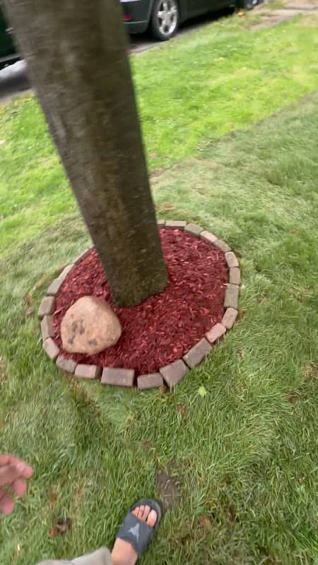 AM YardWorkers photo 2