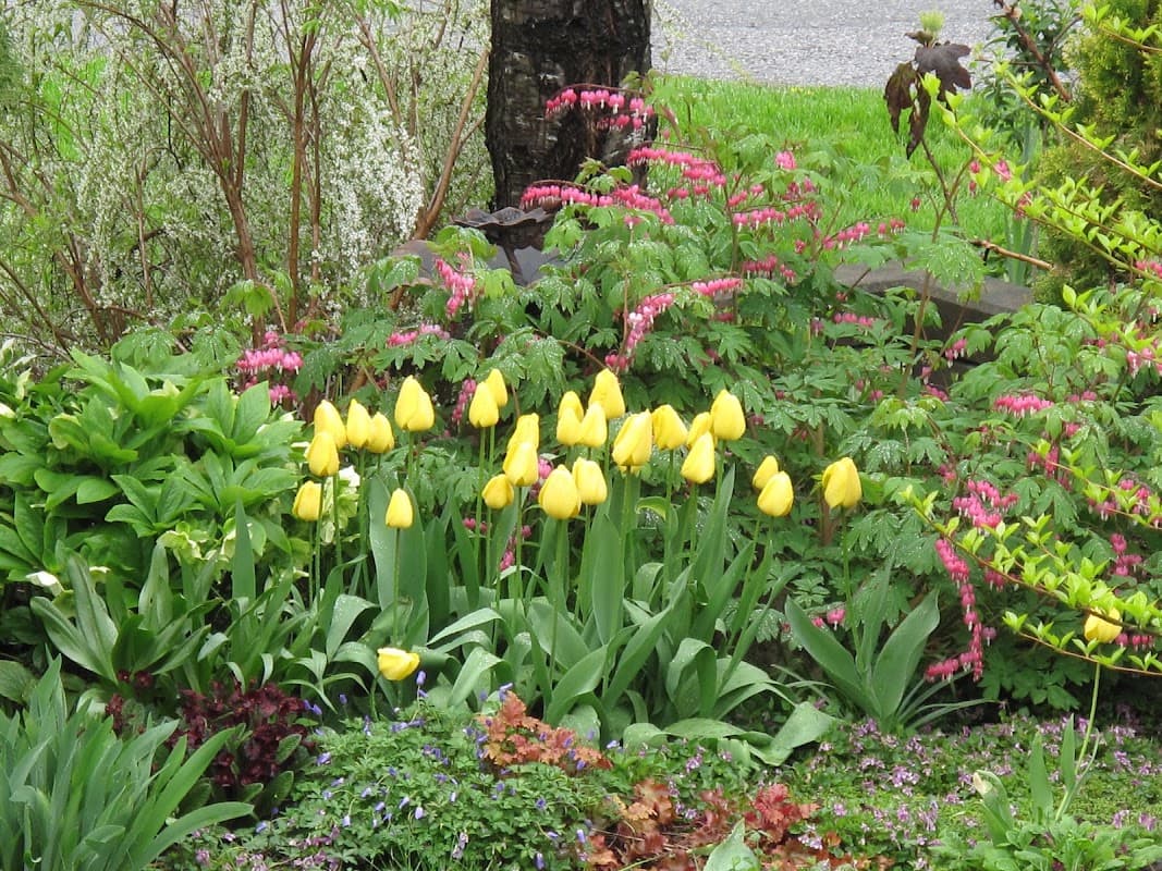 Amanda's Garden Consulting photo 3