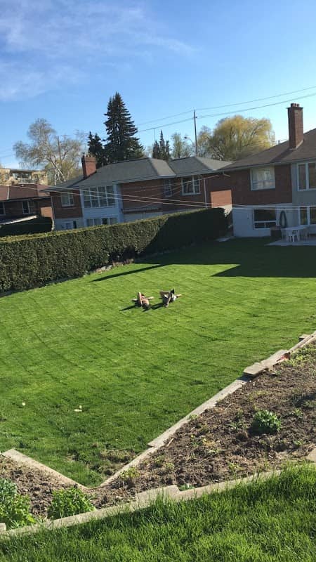 Andress Lawn Services photo 2